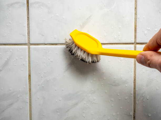 Best Mold Testing  in New Baltimore, VA