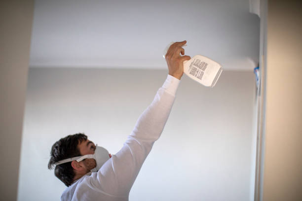 Best Commercial Mold Removal  in New Baltimore, VA