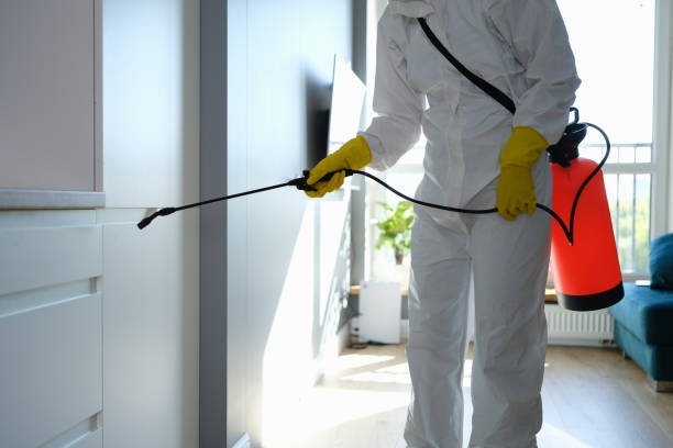 Best Professional Mold Removal  in New Baltimore, VA