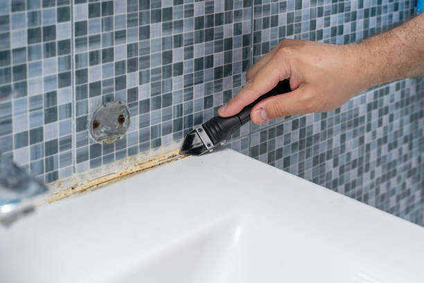 Best Emergency Mold Removal  in New Baltimore, VA