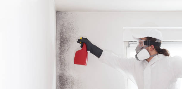 Best Crawl Space Mold Removal  in New Baltimore, VA