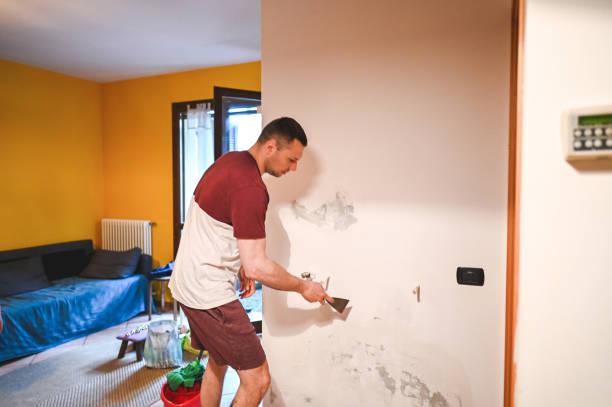 Best Home Mold Removal  in New Baltimore, VA